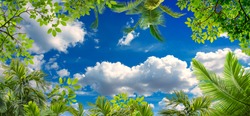 cloudy clear sky landscape and green leafy trees