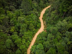 Scenic aerial view of a winding path in a forest