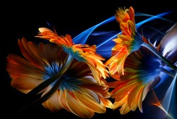 Two orange gerbera flowers and their reflections in a crooked mirror, as well as improvisation with colorful light in the black background
