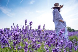 Lavender flowers-woman in a blue dress and yellow hat in a beautiful lavender field.Bee in the garden.