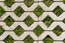 Top view of paving slabs with grass sprouting through them. Textured patterned background.
