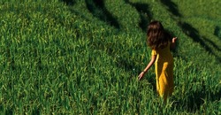 A beautiful girl walks on rice terraces on the island of Bali, rear view. A beautiful girl in a yellow dress walks through green rice fields. A young woman walks on rice terraces. Copy space