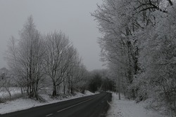 Snowy curvey road to the forest in winter in Lithuania.Landscape                                                                                                                                        