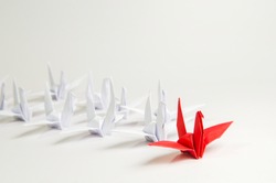 Close up red bird leading among white, Leadership concept