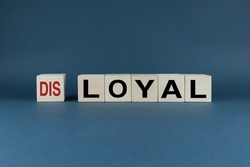 Disloyal or loyal choice. Cubes form the words disloyal or loyal. Concept of choice in attitude at work in business and everyday life