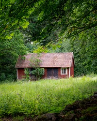 An abandonded red cottage in the forest in Skåne Sweden during summer