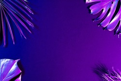 Image of vibrant neon lit purple leaves over purple background with copy space. Light and colour concept