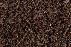 Full frame of dark rich peat soil and bark pieces. Ecology, growth, care and nature concept.