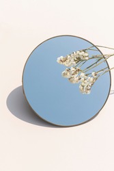 Dried white statice flower over a round mirror