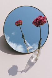 Dried pink peony flower in a clear vase reflected on a mirror