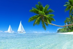 3D Sail boats with blue sky and palm tree.