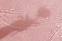 Aesthetic background, rose shadow with sparkle, water ripple texture