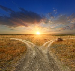 Fork roads in steppe on sunset background