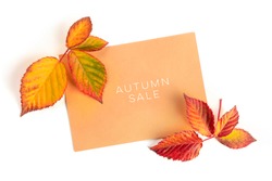 Autum Sale. Discount banner or flyer design template with vibrant autumn leaves, overhead shot on a white background with copy space