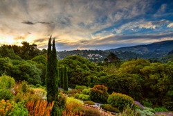 Sunset in botanic garden, Dunedin, South island of New Zealand