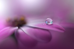 Beautiful Macro Shot of Magic Flowers. Border Art Design.Extreme close up Photography.Conceptual Abstract Image.Violet Nature Background.Artistic Floral Art.Creative Wallpaper.Amazing Spring Flower.