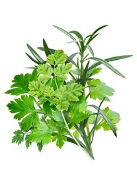 Fines herbes, a combination of Parsley,Chervil, Tarragon. French cuisine. Clipping path, infinite depth of field