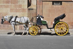 Traditional horse carriage in Malaga. Spain. Touristic transport