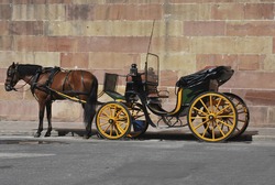 Traditional horse carriage in Malaga. Spain. Touristic transport