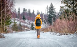 tourist traveler is winter in the woods with a backpack on a snowy road