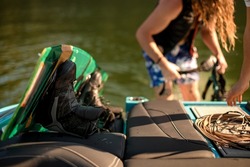 selective focus on black boot of wakeboard on motorboat board. Equipment for water activities. Blurred person on background