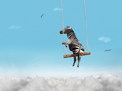 Illustration image of zebra swinging on swing bar over blue sky with clouds foam