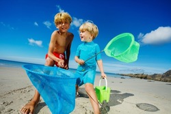 Low angle portrait of two happy boys, brothers stand with butterfly nets catching critters on the sand ocean beach during tide on vacations