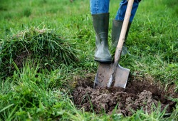 Man digs a hole in the ground for planting trees