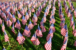 Many miniature US flags set on the grass in front of a memorial chapel close up