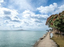 Ocean Path at at High Tide Looking Towards Rangitoto Island in Auckland New Zealand on Bright Sunny Morning