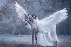 Beautiful, young elf, walking with a unicorn. Angel is wearing an incredible light white dress. The ice queen lies on the horse. Black hair. Concept Sleeping Beauty. Art Photography cold winter nature