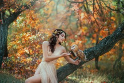 autumn fairy tale. Fantasy woman sitting on tree branch with a barn owl. Forest nymph girl holds a white bird in hands. Portrait of romantic lady in golden dress. Art nature, orange yellow trees