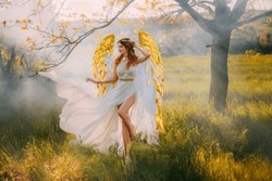 art photo fantasy woman angel with golden bird wings walking in forest, fairy mystical girl greek goddess long white vintage ancient style dress creative jewels. trees mist fog magic divine sun light 
