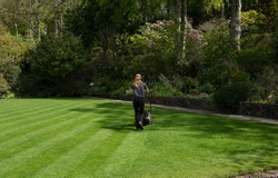 Blonde Female Gardener Mowing a Lawn with Diagonal Stripes on a Bright Sunny Day in a Garden in Rural Devon, England, UK