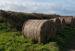 Row of Hay Bales on the Southwest Coast Path between Hartland Quay and Bude in Rural Devon, England, UK