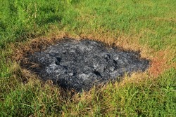 Burnt Grass.  Burned Grass Hotsell.