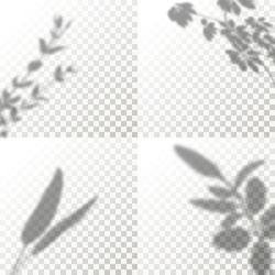 Set of Shadow Overlay Plant Vector Mockup. The transparent Shadows overlay effects Of Leaf in a modern minimalist style. For presentation Flyer, Poster, blank, logo, invitation