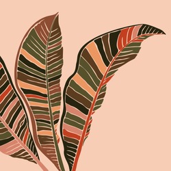 Tropical banana leaves leaves in a minimalist trendy style. Silhouette of a plant in a contemporary simple style. Vector illustration collage. For t-Shirt Print, card, poster, social media post