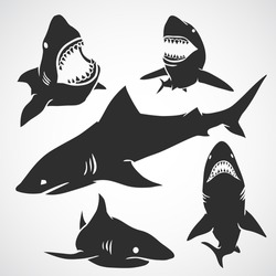 Set of big sharks black silhouettes. Vector illustration. 
