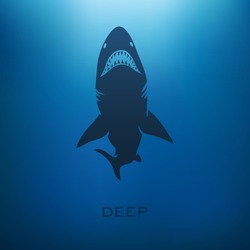 Shark concept with blur background. Vector illustration