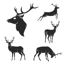 Set of black forest deer silhouettes. Suitable for logo, emblem, pattern, typography etc. Isolated black on white background. Vector illustration