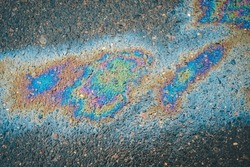 Oil stains on wet asphalt. Puddles are contaminated with multicolored streams of oil.