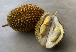 Fresh and ripe durian fruit. Durian (Durio) is a tropical plant originating from the Southeast Asian region which is popular for its unique shape and distinctive aroma.