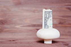 Large white button mushroom and one dollar bill isolated on a wooden background. Starting mushroom farming on a budget.