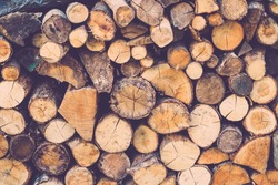 wood pile for fireside
