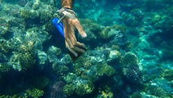 The hand of the criminal, who wanted to cut the coral with a sharp spatula undersea. Result: the photographer drove the man ashore in disgrace. Red Sea, Egypt, Sharm El Sheikh, Nabq Bay.