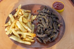 Stir-Fried Edible Insects of the Species Cirina Forda with French Fries, and Ketchup: A Dish Found in Some Countries