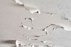 Peeling paint in plaster ceiling of bathroom and toilet. Moisture and humidity in room. Close up