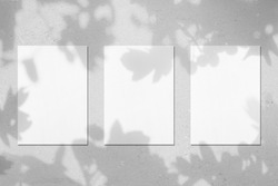 Three empty white vertical rectangle poster mockups with soft shadows on neutral light grey concrete wall background. Flat lay, top view