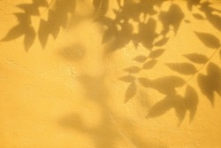 Shadow of leaves on yellow concrete wall texture with roughness and irregularities. Abstract trendy colored nature concept background. Copy space for text overlay, poster mockup flat lay 